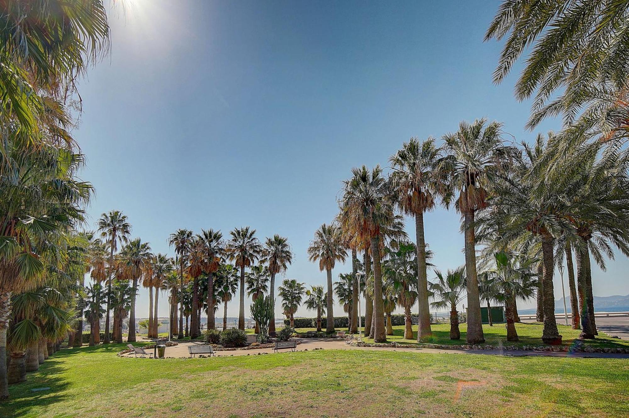 Le Palm - 100M Plage - Croisette - Verriere Cote D'Azur Cannes Exteriör bild